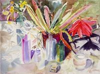 Christmas Cactus